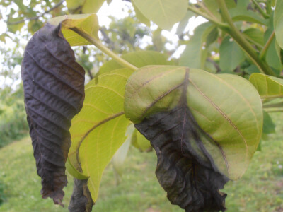 Odštete od elementarnih nepogoda Odštete od elementarnih nepogoda