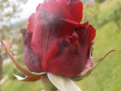 Odštete od elementarnih nepogoda Odštete od elementarnih nepogoda