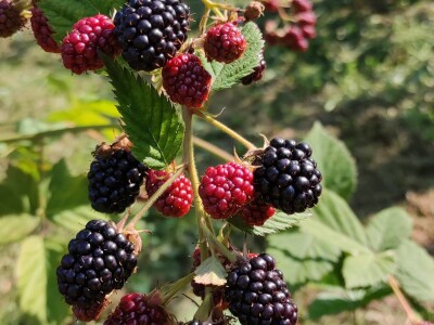 Moje pravilo je "Sve za kvalitet, a kvalitet ni za šta ne dam"