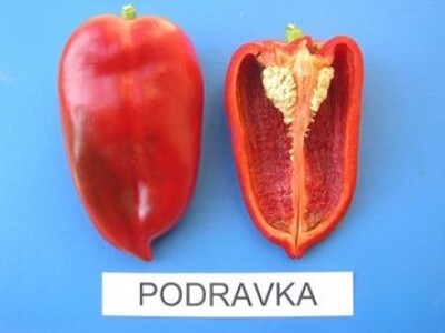 Pazi se na kvalitetu povrća Pazi se na kvalitetu povrća