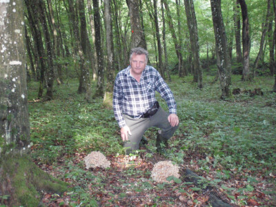 U potrazi za gljivama