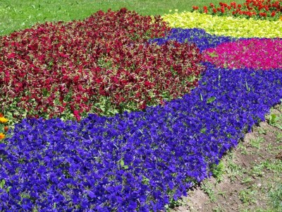 "Floraart" - 51. međunarodna vrtna izložba "Floraart" - 51. međunarodna vrtna izložba