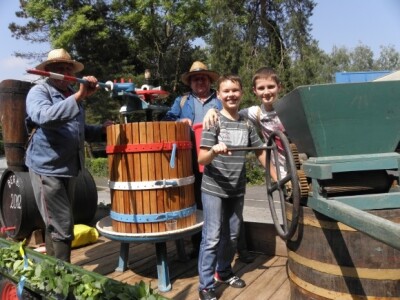 15. međunarodna izložba vina - Vinodar