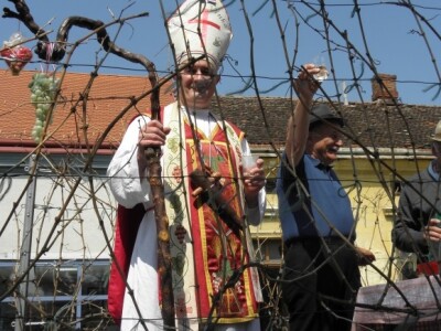 15. međunarodna izložba vina - Vinodar
