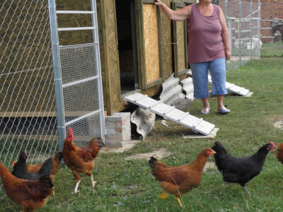 Kako zaustaviti ljigavi tsunami? Kako zaustaviti ljigavi tsunami?