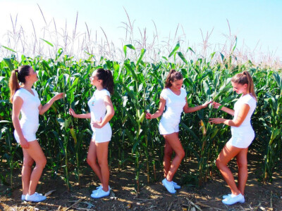 KWS na Farmshowu 2016.