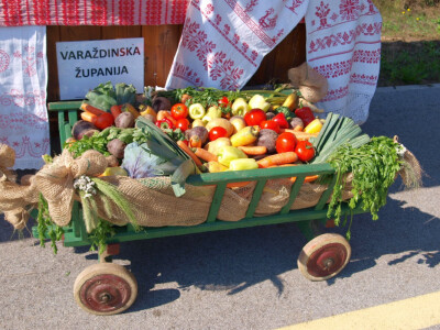 14. natjecanje u oranju Republike Hrvatske