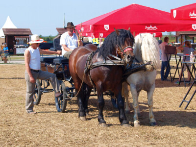 14. natjecanje u oranju Republike Hrvatske
