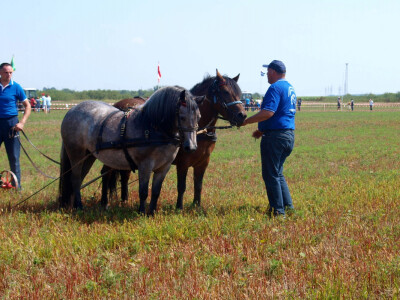 14. natjecanje u oranju Republike Hrvatske