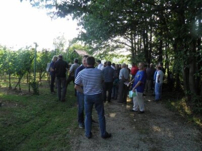 Susret vinogradara stubičkog kraja