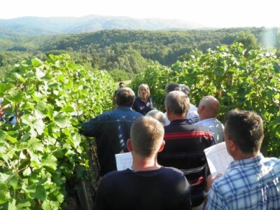 Susret vinogradara stubičkog kraja