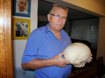 Jesen je pravo doba za gljive