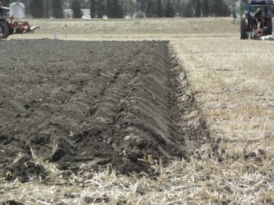 Prvi dan 59. svjetskog natjecanjanja u oranju