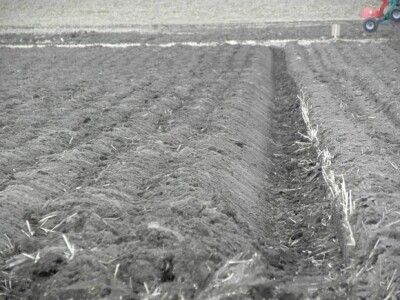 Prvi dan 59. svjetskog natjecanjanja u oranju