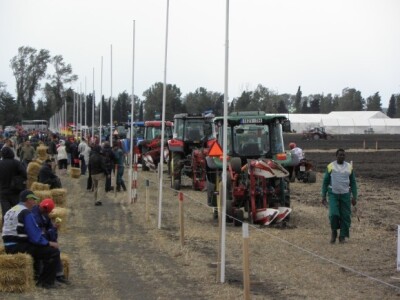 Prvi dan 59. svjetskog natjecanjanja u oranju
