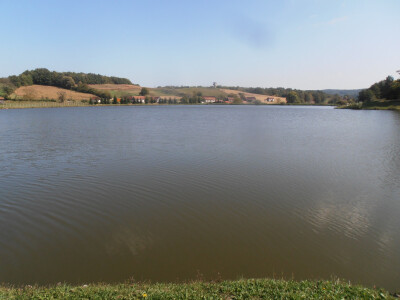 Hrvatski lovački savez za milijun eura kupio vilu Garić u Podgariću Hrvatski lovački savez za milijun eura kupio vilu Garić u Podgariću