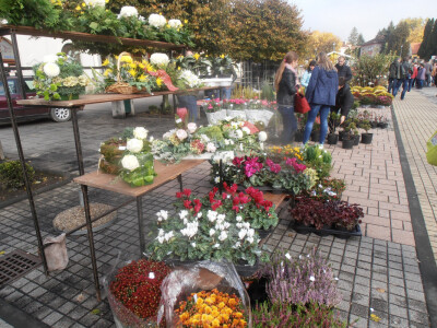 Cvjetna košarica za selfi - hit u Ždralovu gradu Cvjetna košarica za selfi - hit u Ždralovu gradu