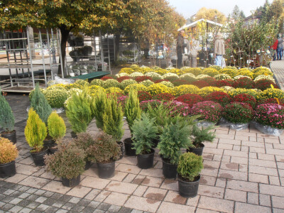 Cvjetna košarica za selfi - hit u Ždralovu gradu Cvjetna košarica za selfi - hit u Ždralovu gradu