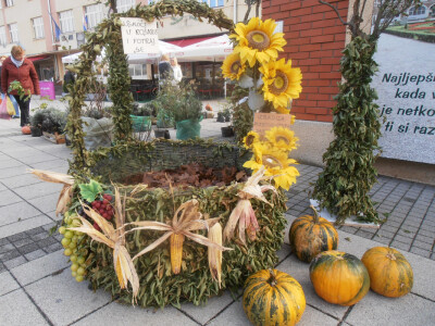 Cvjetna košarica za selfi - hit u Ždralovu gradu Cvjetna košarica za selfi - hit u Ždralovu gradu