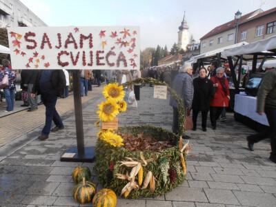 Cvjetna košarica za selfi - hit u Ždralovu gradu Cvjetna košarica za selfi - hit u Ždralovu gradu