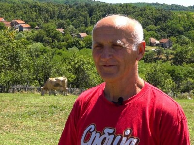 PADINE CERA IDEALNE ZA ISPAŠU GOVEDA PADINE CERA IDEALNE ZA ISPAŠU GOVEDA