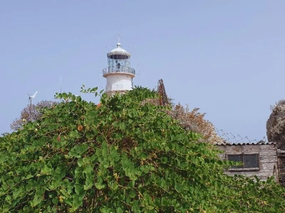 Palagruža