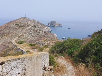 Palagruža