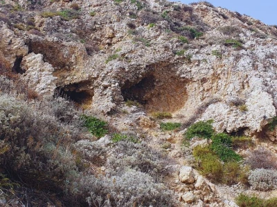 Palagruža