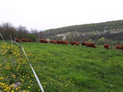 Palarva d.o.o. biodinamička proizvonja