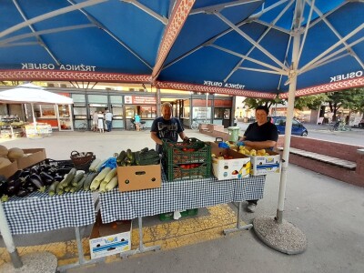 Palika Bajči Palika Bajči