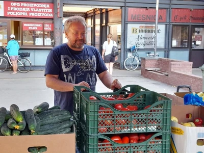 Palika Bajči