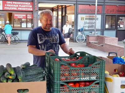 Palika Bajči Palika Bajči