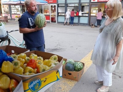 Palika Bajči Palika Bajči