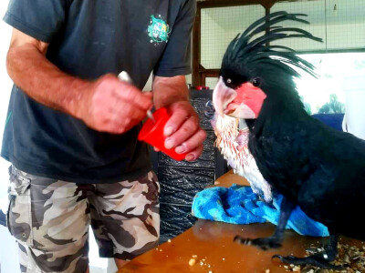 Zoo vrt "Miki" u Kolutu