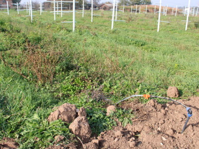 Pametni sistem za navodnjavanje i prihranu biljaka