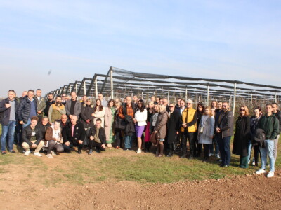 Pametni sistem za navodnjavanje i prihranu biljaka