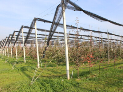 Pametni sistem za navodnjavanje i prihranu biljaka