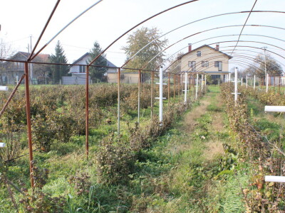 Pametni sistem za navodnjavanje i prihranu biljaka