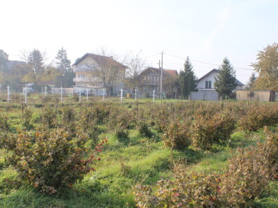 Pametni sistem za navodnjavanje i prihranu biljaka