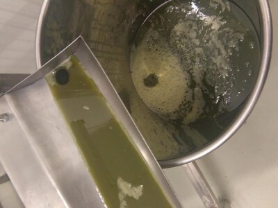 Proizvodnja industrijske konoplje