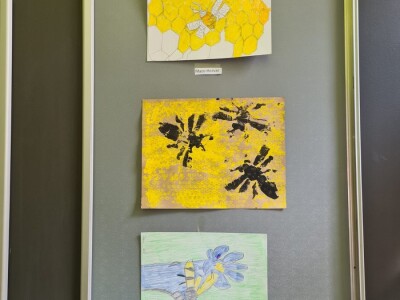 U Varaždinu obilježen Svjetski dan pčele!