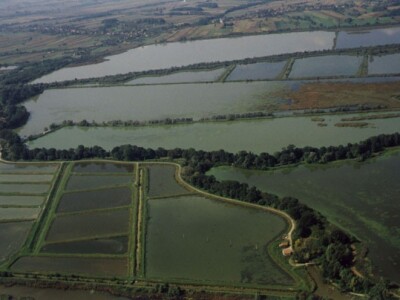 Ribnjačarstvo Poljana