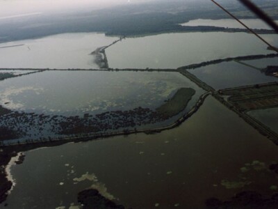Ribnjačarstvo Poljana
