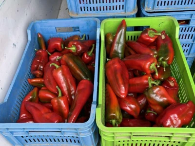 paprika