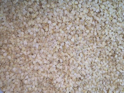 Paprika roga