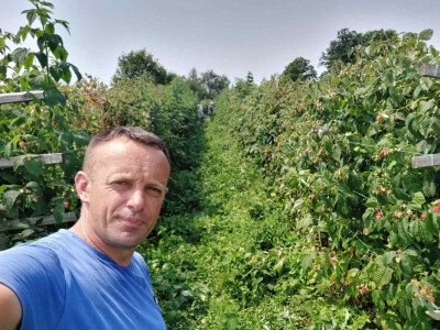 Paprika somborka i babura