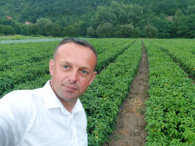 Paprika somborka i babura