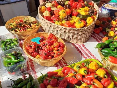 Paprikafest u Lugu