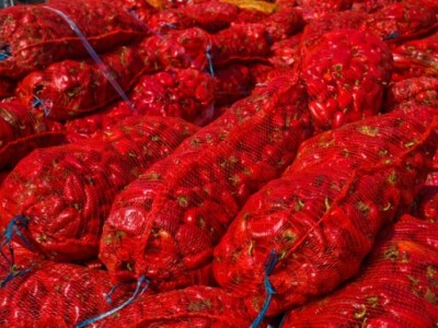 Bogatstvo domaće sirovine