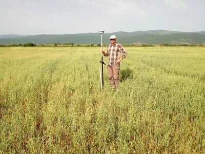 Farma sretnih krava na Krbavskom polju